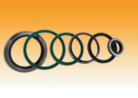 骨架油封与防尘系列(图1)