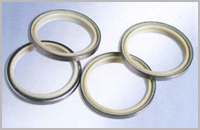 聚氨指骨架防尘封 DKBI(图1)