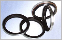 橡胶骨架油封 DKB(图1)