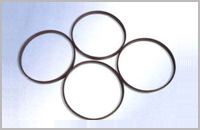 聚甲醛支承环 FR(图1)