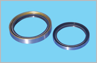 外骨架油封(图1)