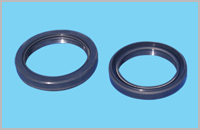 内骨架油封(图1)