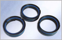 五组合密封件 TPM(图1)